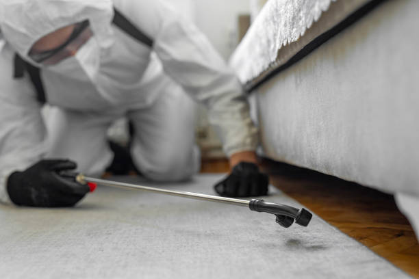 Professional Bed Bug Control technician working in Spencerport, NY