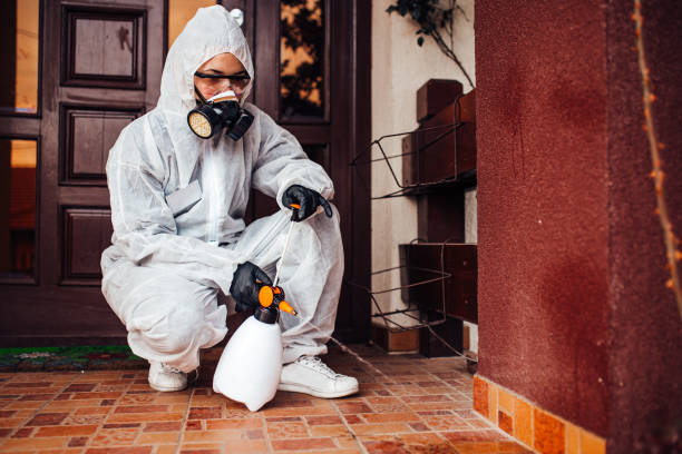 Reliable Bed Bug Control contractor in Spencerport, NY by Nex Pest Control